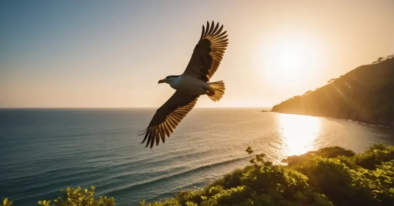 Bird at Sunset