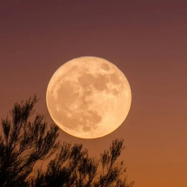 Full Moon Affirmations: Adapting Lunar Energy for Positive Change in 2025