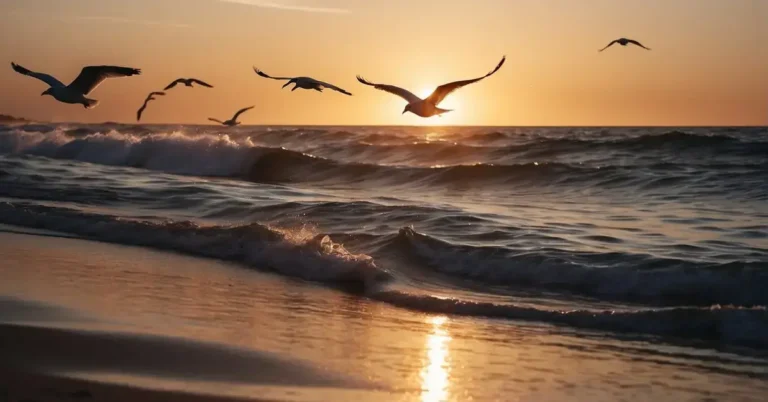 Sunset Scene with Seagulls